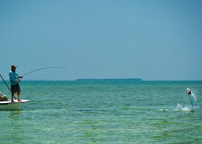 William trying to catch a stunning fish with the help of his guide.